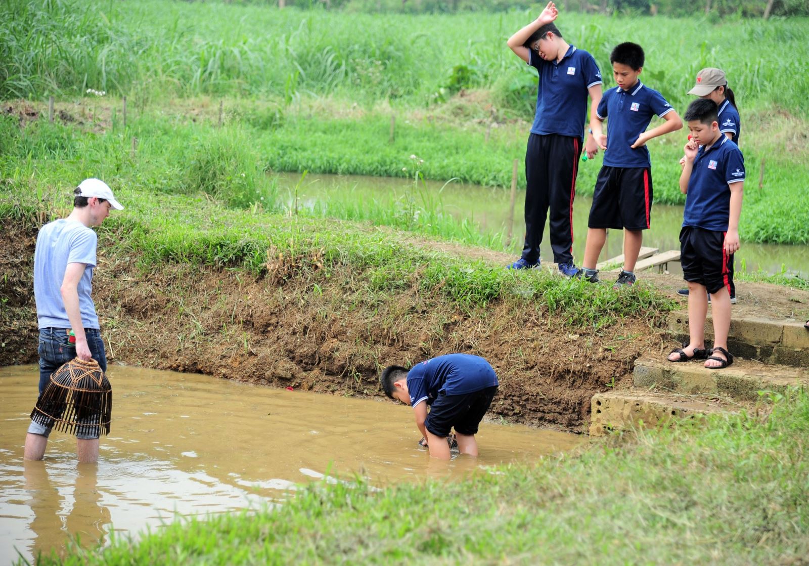 Học sinh lớp 6 đón hè với một ngày làm trang trại